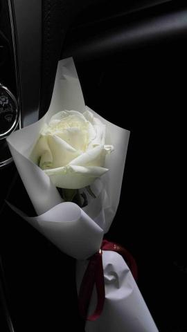 小冰 - 物品擺拍