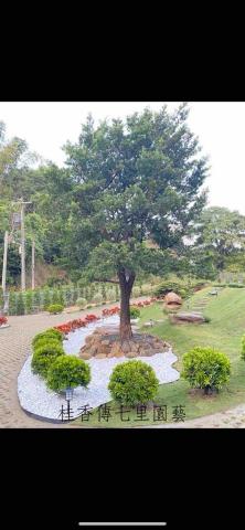 桂香傳七里園藝 - 