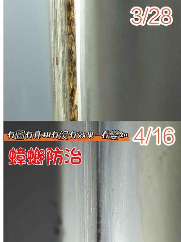 永欣病媒防治有限公司 - 蟑螂防治