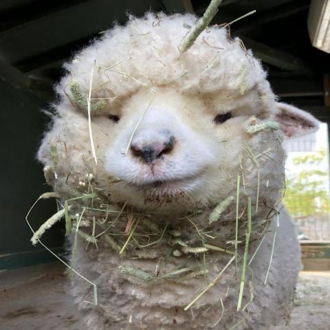 提供layout工程師服務的專家土豆設計