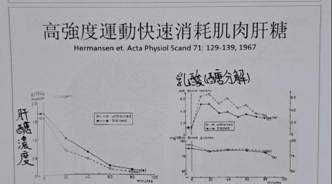 台灣運動營養學認證 - 乳酸的產生