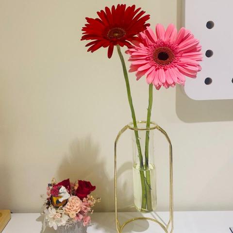 提供n4測驗服務的專家英文老師