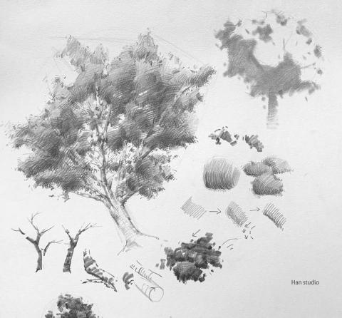 Han studio  邱柏翰 - 提供課堂上畫樹、樹葉一些理解及操作方法
1. 枝幹的基礎結構
首先，我們需要確定樹幹和主要樹枝的結構，主要樹幹較粗，慢慢倒樹支變細，在左下方，可以看到一些簡單的樹幹和樹枝的練習。這些線條幫助我們掌握樹的基本形態。
2. 樹葉的簡化跟排列
可以把一個區塊樹葉理解成大、中、小團塊，依照團塊分出亮跟暗兩個面，有些過於複雜形狀可以整合再一起，具體分法像是右上方那棵。
3. 樹葉的筆觸如何表現
樹葉團塊分