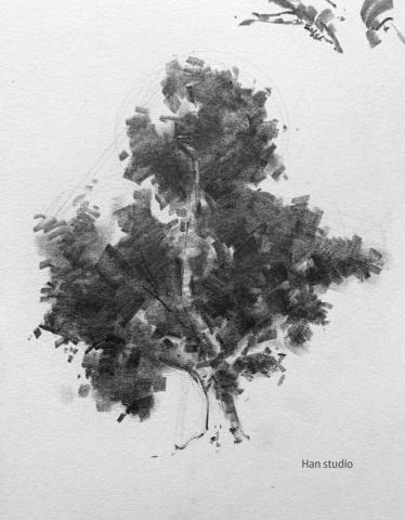Han studio  邱柏翰 - 寬筆觸表現樹木示範