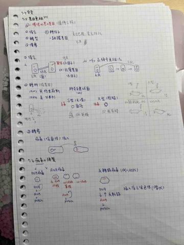昕樺 -  昕樺 -