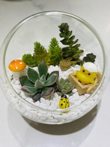 英文老師 - 可愛療癒多肉作品