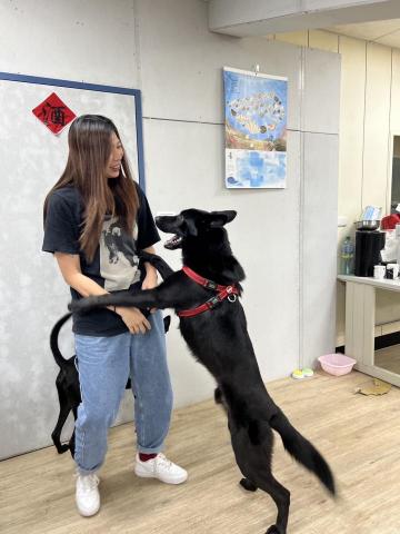 森林小姐貓貓狗勾陪伴師 / 寵物按摩運動 - 