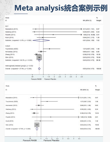 Data Mentor統計分析代跑/論文寫作輔導 - Meta Analysis 統合案例分析