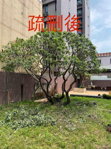 匠人樹木工作室 - 