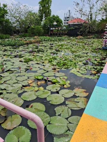 1噸3掀背貨車 - 台南九品蓮花（物流士）
