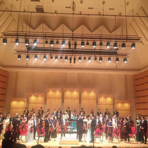 提供27服務的專家球球老師