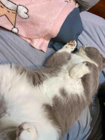 提供找不到好工作服務的專家妤萱