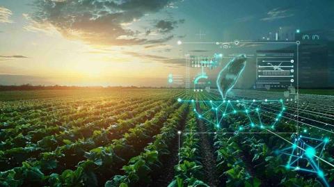 小石頭 - 農委會banner