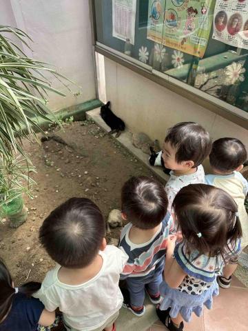 郭太芯 - 在托嬰中心擔任陪玩姐姐時帶小朋友去參觀兔子園區