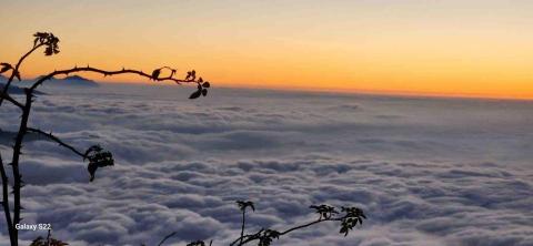 機場接送～包車旅遊 - 合歡山 雲海
