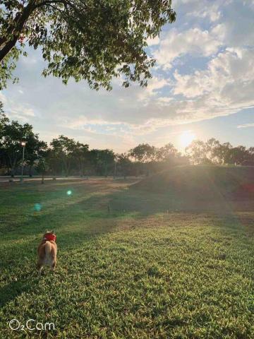 機場接送～包車旅遊 - 