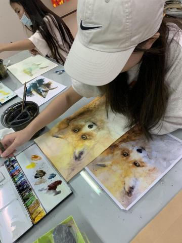 Lee mike - 水彩動物教學