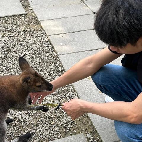 提供傢俱搬運服務的專家李先生