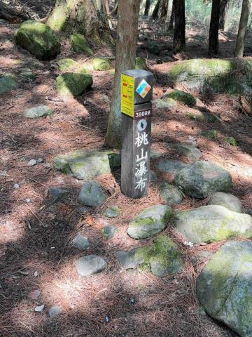 機場接送～包車旅遊 - 福壽山農場～