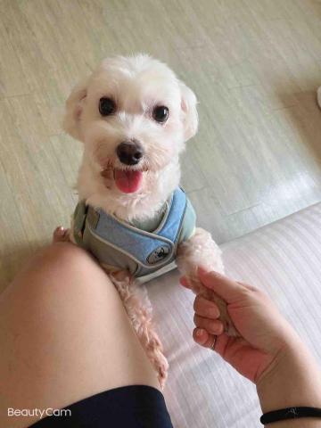 提供高中生物服務的專家乾惟宸