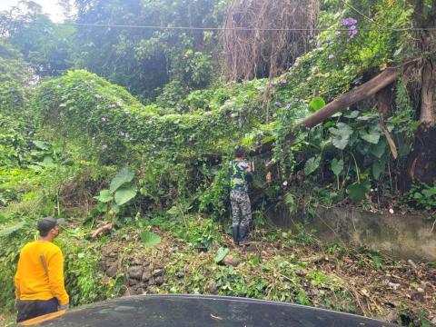 于森園藝企業社 （林先生） - 古厝民宅施工中