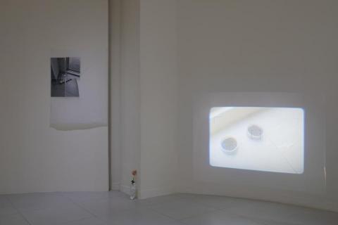 facile photography - 