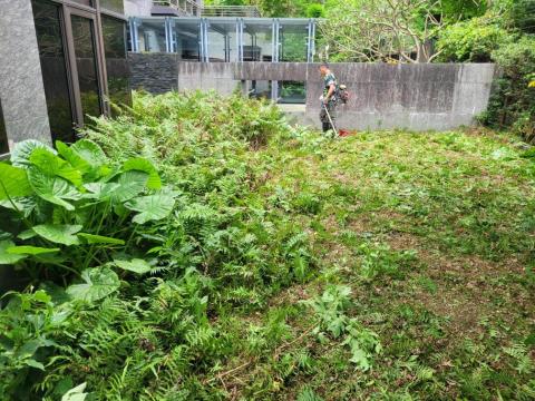 于森園藝企業社 （林先生） - 民宅花園施工中