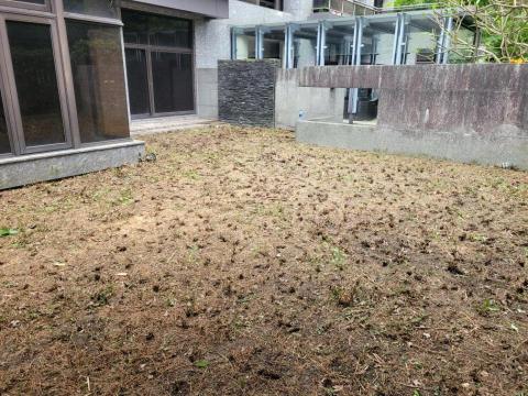 于森園藝企業社 （林先生） - 民宅花園施工後