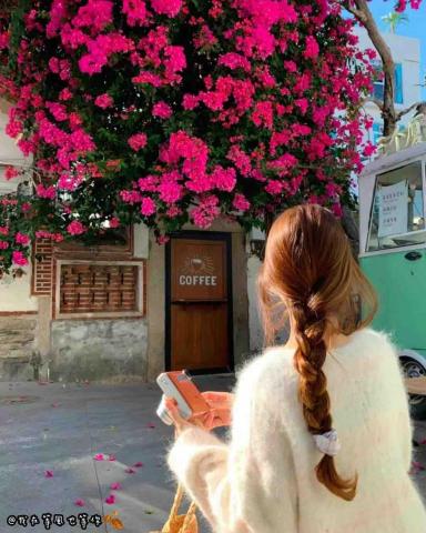 提供客服服務的專家凱莉小姐