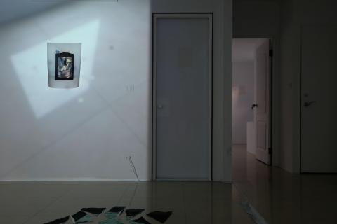 facile photography - 