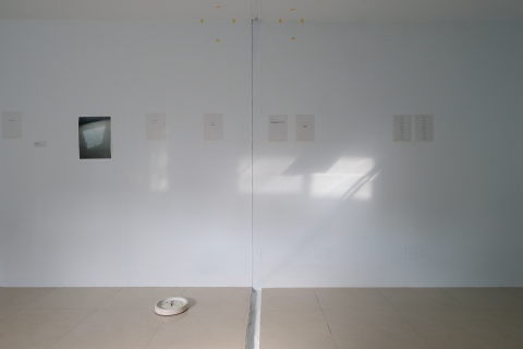 facile photography - 