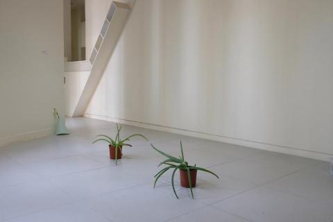 facile photography - 