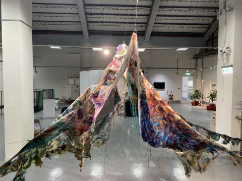 anne lin - 羊毛氈藝術創作