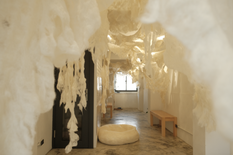 anne lin - <來家裡坐坐>個展作品（羊毛氈製作）