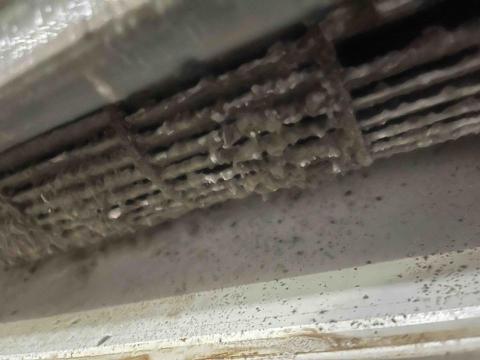 職人洗淨科技 （新北） - 