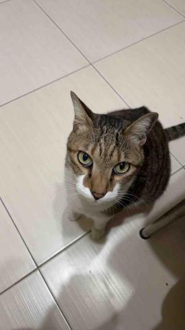 阿肥的家 - 阿肥