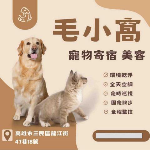 毛小窩寵物旅館-免費專車接送-合法經營（寵字營登皆有） - 