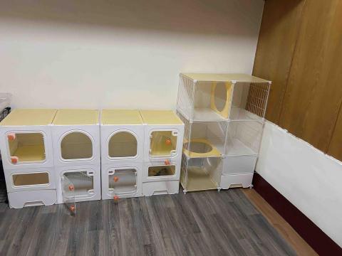 毛小窩寵物旅館-免費專車接送-合法經營（寵字營登皆有） - 