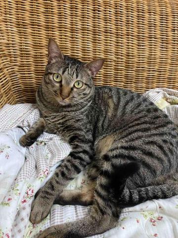 阿肥的家 - 我叫 「11」