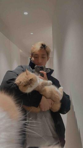 提供寵物旅館台中服務的專家三仔一生