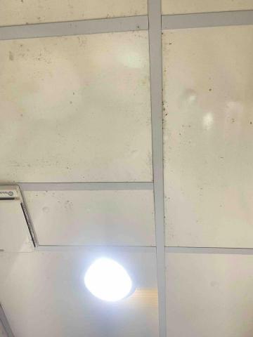 巧家潔家事家藝團隊 - 天花板發霉