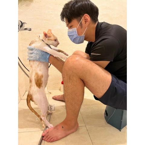 養樂多寵物到府美容 - 