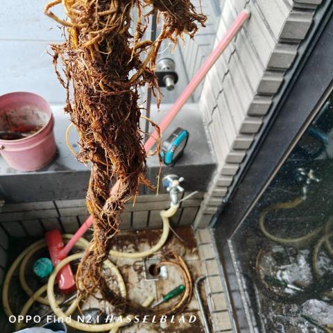 戶戶通-專業通水管 | 通馬桶 |各式水管堵塞 - 0955-654-039 謝先生
加賴:電話搜尋 0955654039 戶戶通-專業通水管 | 通馬桶 |各式水管堵塞 - 0955-654-039 謝先生
加賴:電話搜尋 0955654039