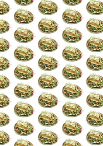 Fannie - 手繪包裝插圖