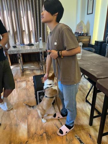 張代佳 - 參加訓犬師培訓營-2