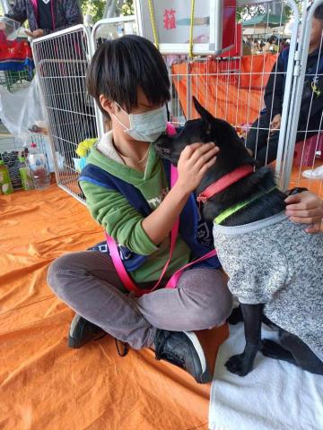 張代佳 - 擔任狗狗送養會志工