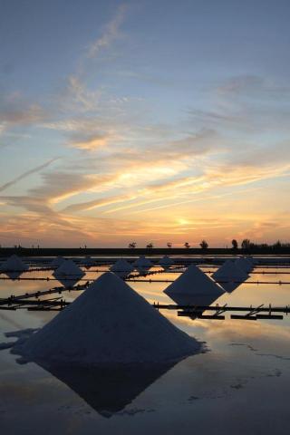 nicolepan - 圖片光線色彩參數調整