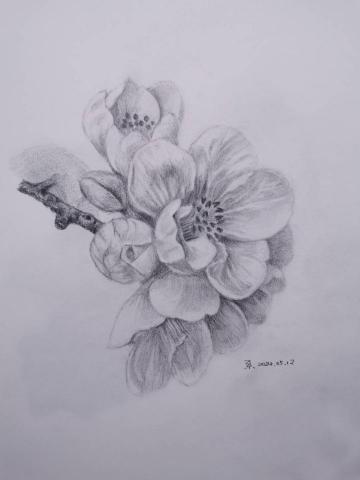 小星人繪繪課 - #鉛筆素描