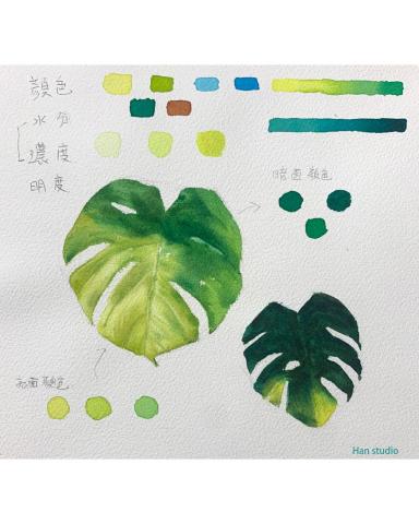 Han studio  邱柏翰 - 龜背芋葉子配色跟方法拆解，感興趣朋友可以試畫看看