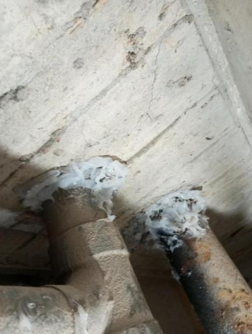 嘉澤滅鼠封堵防治工程 - 天花板上管路封堵,不需另開維修孔的情況封 嘉澤滅鼠封堵防治工程 - 天花板上管路封堵,不需另開維修孔的情況封